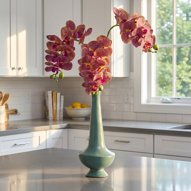 Phalaenopsis en serre 28 po , Orange