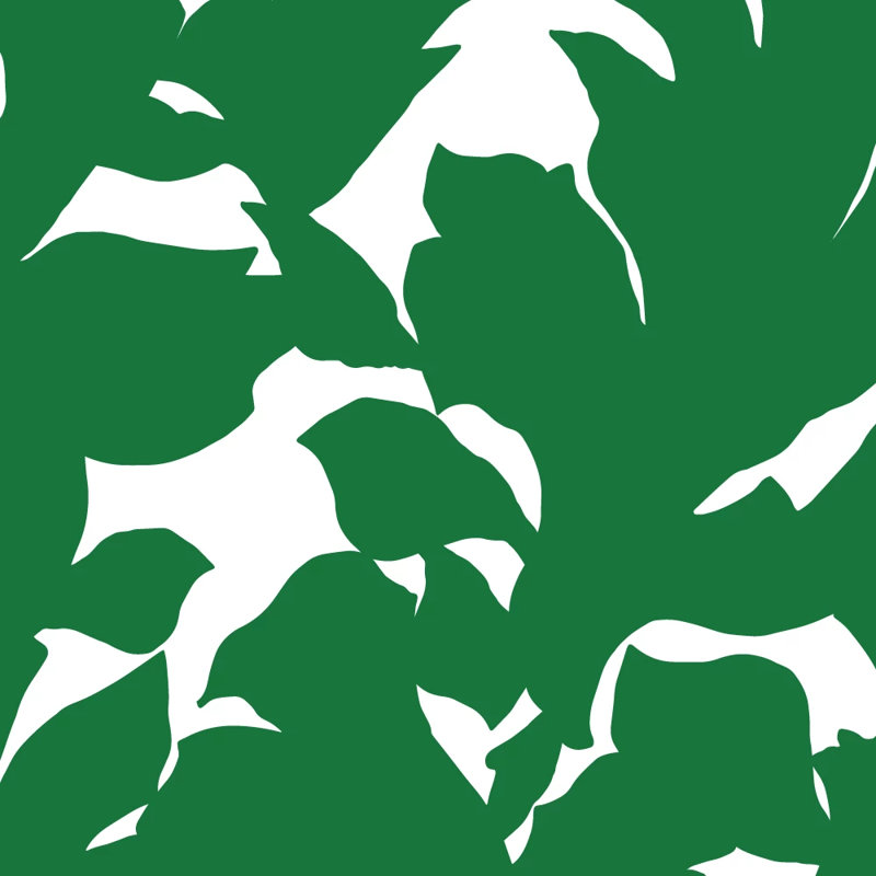 Mrs Paranjape Papers Holly 10' L x 24" W Wallpaper Roll, Peel & Stick, Self-adhesive, Signature Green