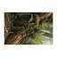 Tapis d'intérieur et d'extérieur brun Nature-339497838