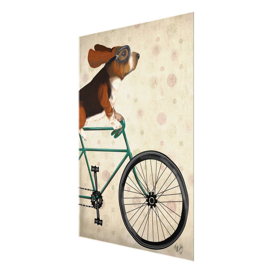 Glasbild Basset auf dem Rad