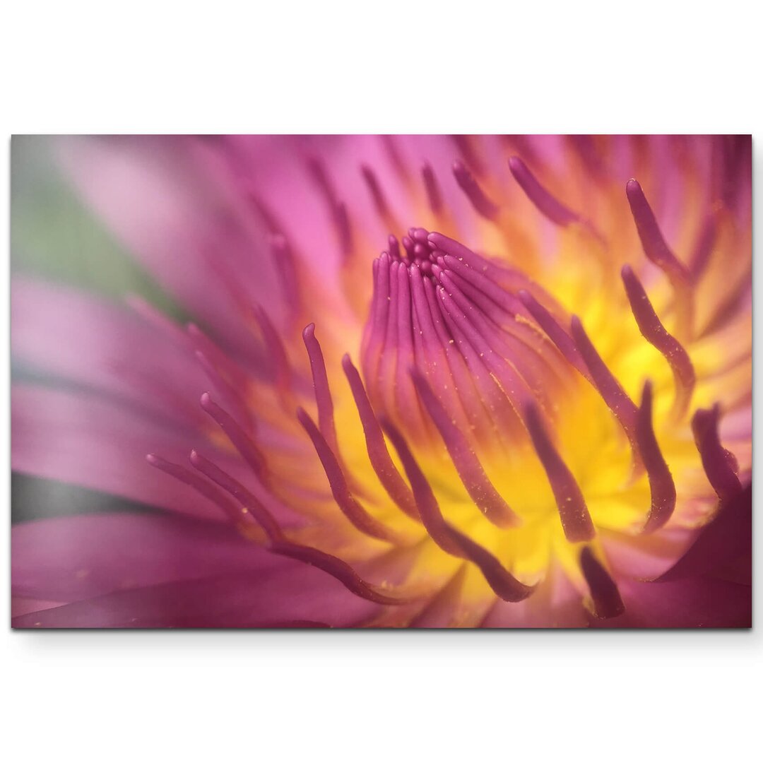 Leinwandbild Lotus Blume