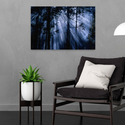 Trees Yosemite National Park Ca Peaceful Abstract Contemporary Cedar Oak Pine Forest Nature Art