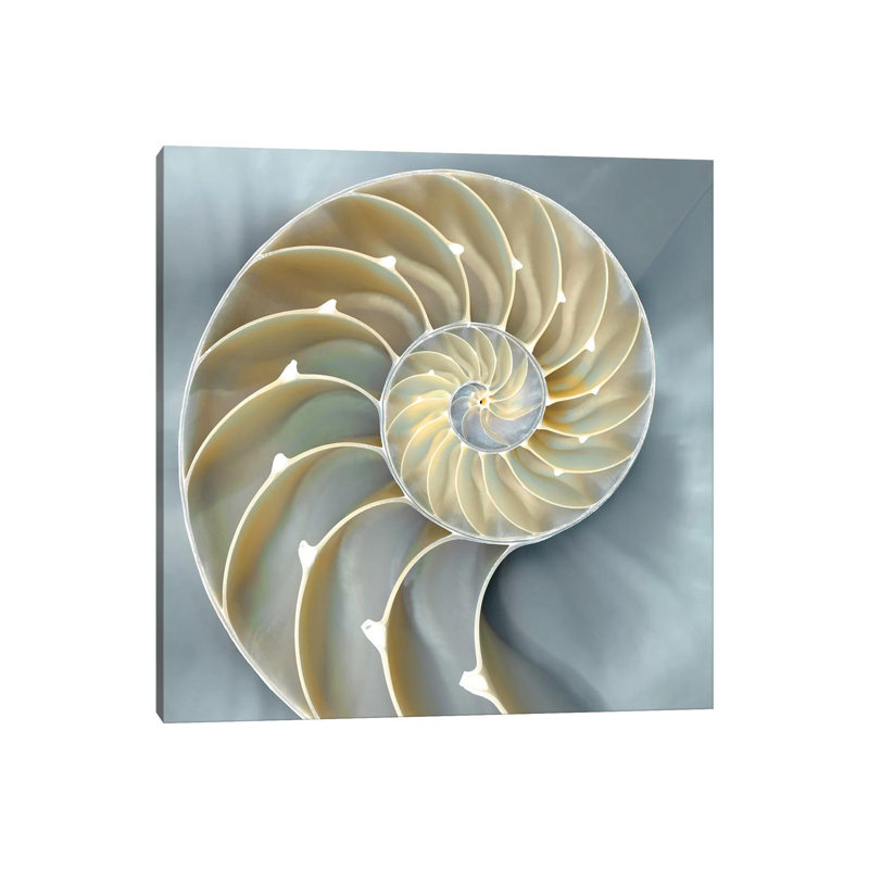 Nautilus In Blue I, 45.72 cm H x 45.72 cm W x 1.91 cm D, Wrapped Canvas