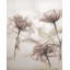 Les Fleurs I Painting by D’Alessandro Léon-64974452