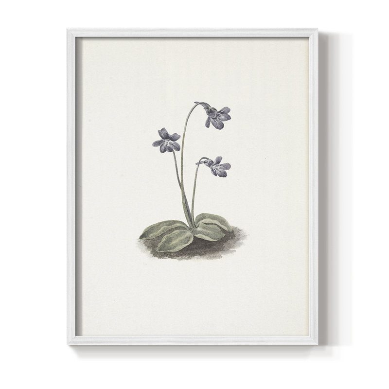 Impression florale vintage encadrée CLxxix - bois massif, H 15 po x l 12 po, Blanc