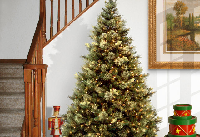 Our Best-Selling Christmas Trees