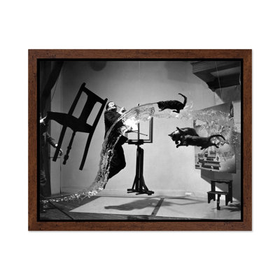 Salvador Dali Atomicus