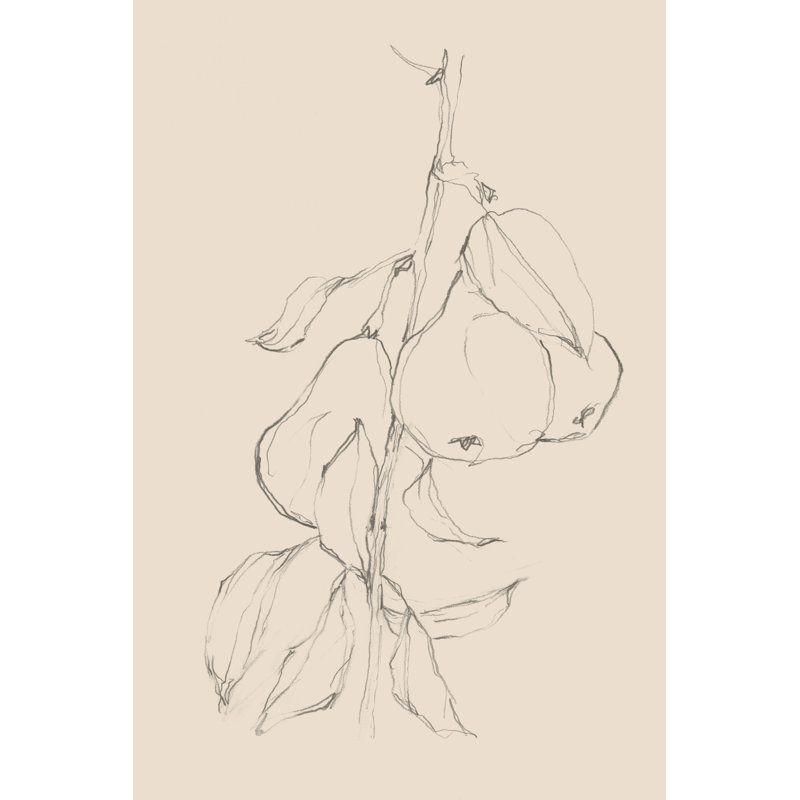 Fruit Shape Study II by Ethan Harper -  Drawing, 30 cm H x 20 cm W, Wrapped Canvas