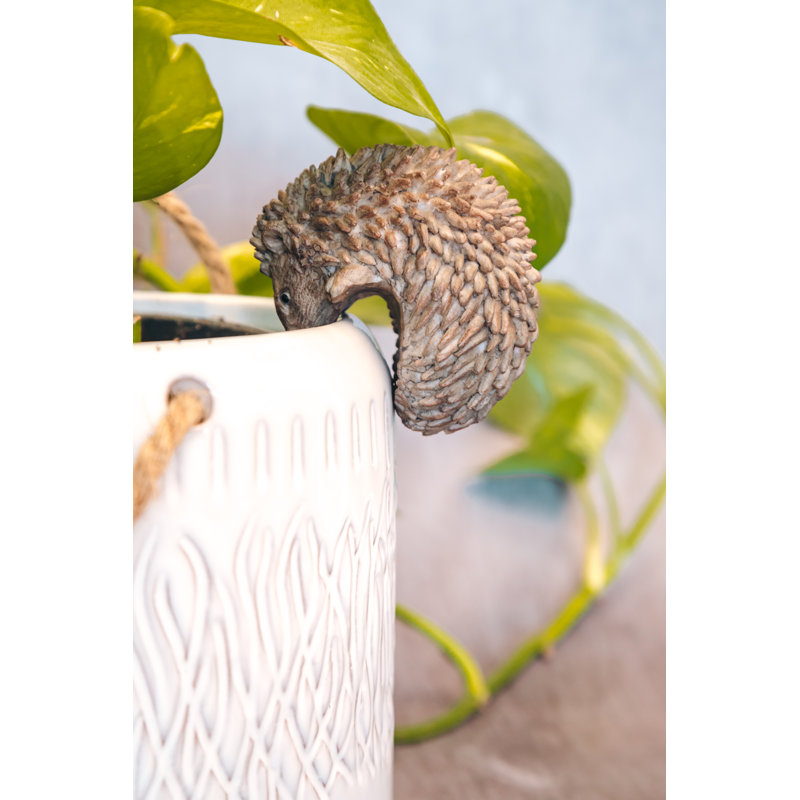 Hedgehog Pot Hanger