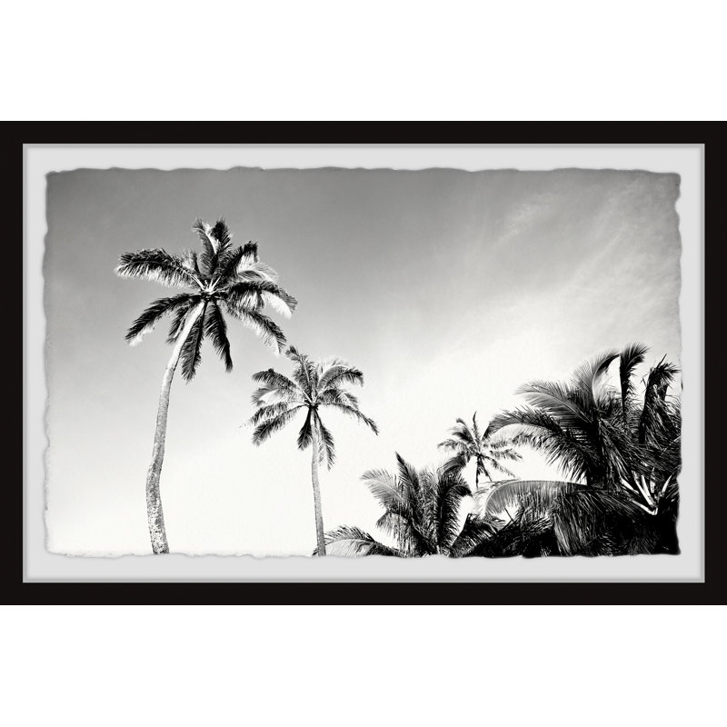 1 Piece Single Picture Frame Wall Art, 20cm H x 30cm W x 3.81cm D