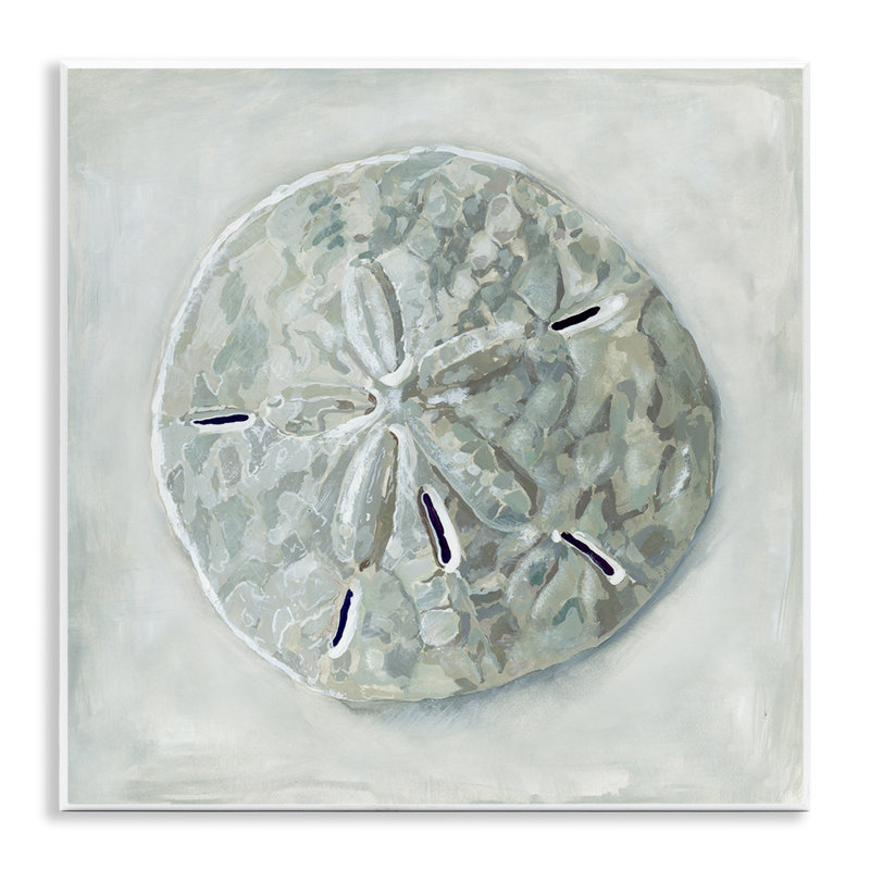 «Sand Dollar» coquillage par Erica Christopher