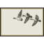 Migrant Flight 1 Wall Art & Signage