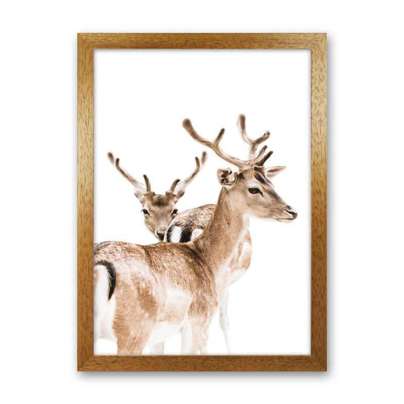 Deers II by Victoria Frost - Print, Oak Framed, 46cm H x 34cm W x 3cm D