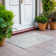Leis Abstract Indoor Rug