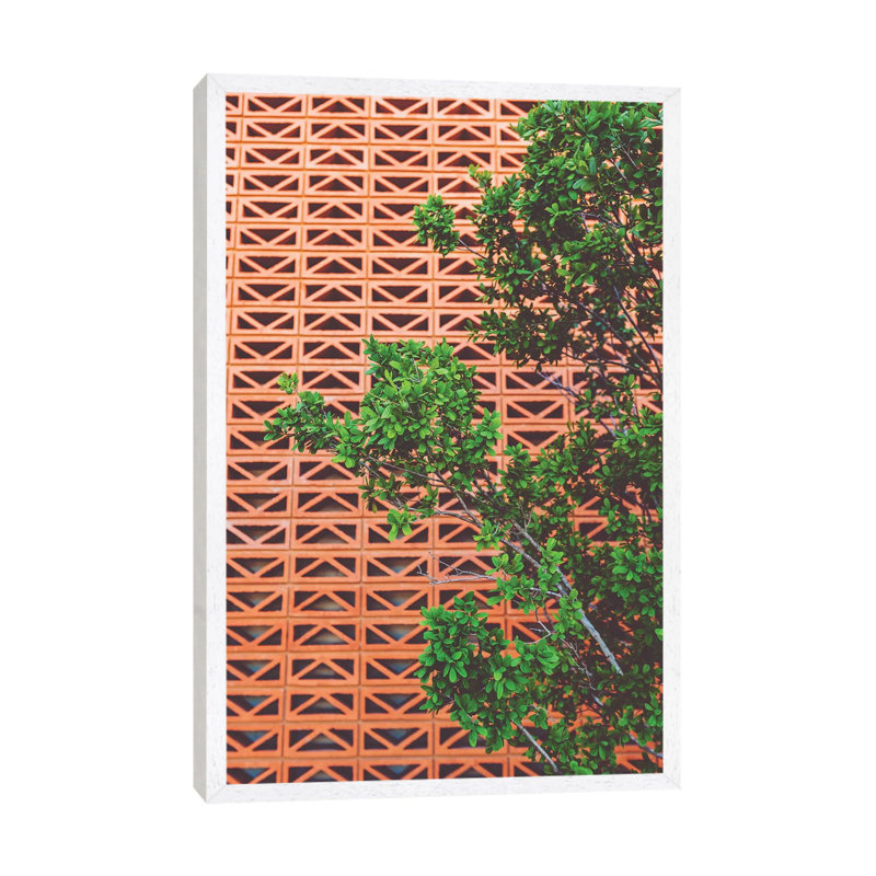 Southwestern Tree by Bethany Young - Print on Canvas, 101.6cm H x 66.04cm W x 3.81cm D, White Framed
