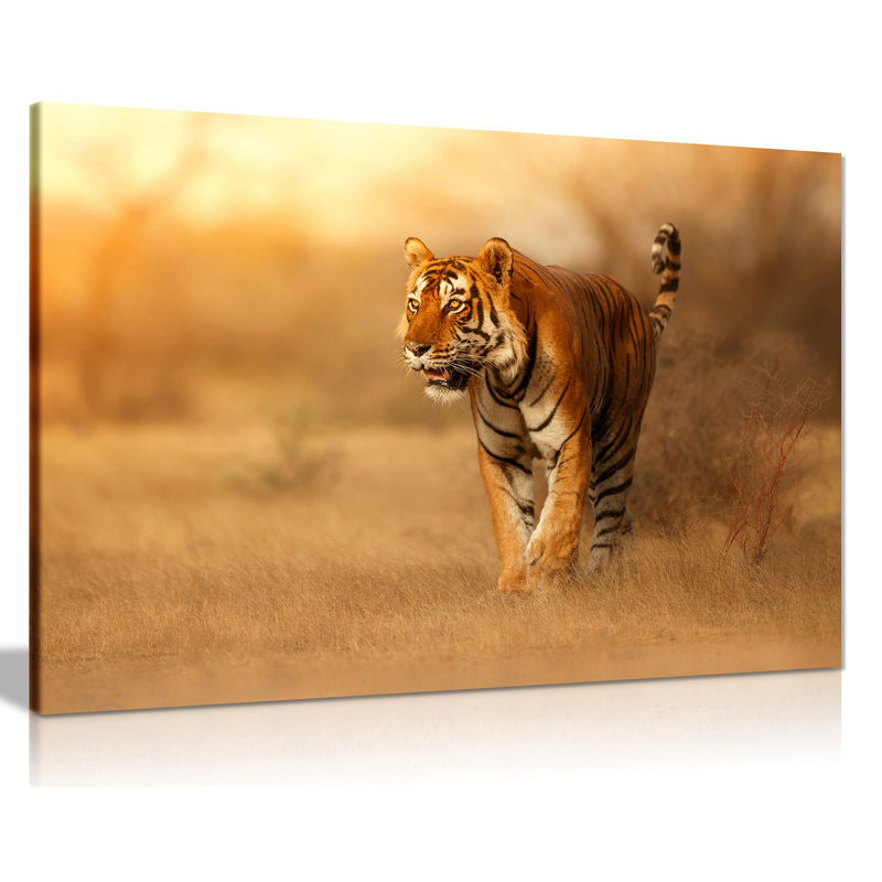Bengal Tiger - Wrapped Canvas Print, 20cm H x 31cm W