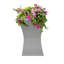 Bassin pour oiseaux-905154292