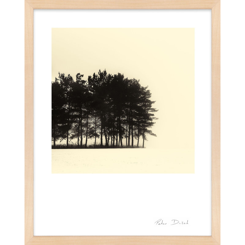 Photographie de jardin, Brun, H 38 po x l 30 po x P 1,25 po