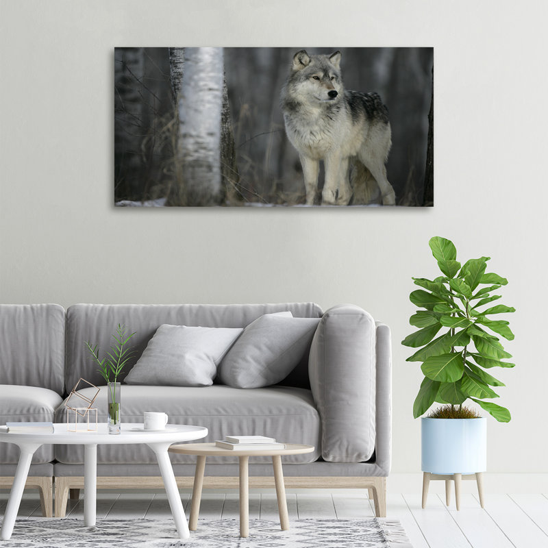 Grey Wolf - Wrapped Canvas Print