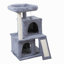 Arbre à chat double couche avec maison pour chat et échelle