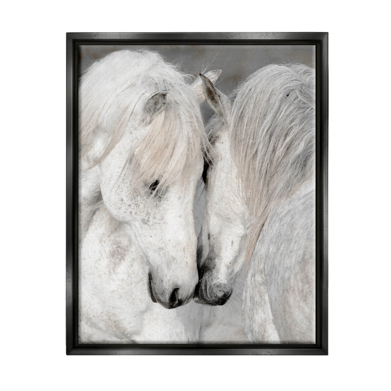 «Hugling Horse Duo Wildlife» par Danita Delimont - peinture sur toile à cadre flottant, Cadre flottant noir de jais