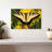 Perched Swallowtail Butterfly-107704700