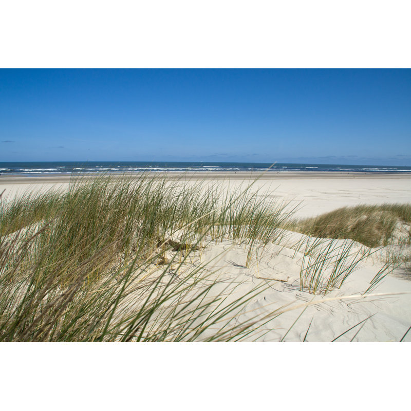 Sand Dunes par Muenz - Photographie sur toile tendue, L 36 po x H 24 po