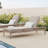 Amina Outdoor Chaise Lounges (Set of 2)-111689225