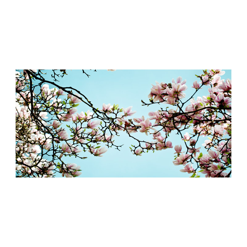 Livanna 50cm W x 100cm L Glass Peel and Stick Panel