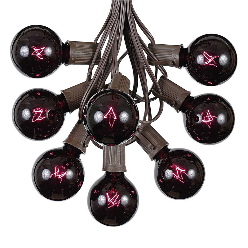 Outdoor 100 - Bulb 100'' Plug-in Globe String Light, Blue, Brown