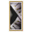 Scale A Chiocciola Giclee Print by David Phoenix