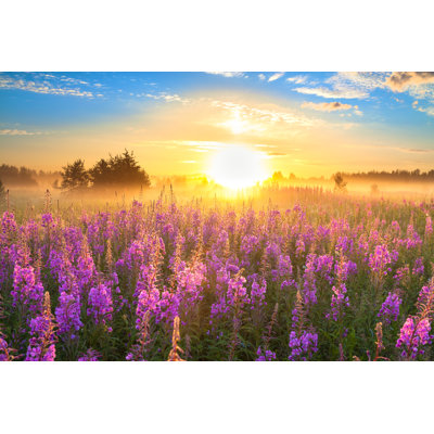 Rural Landscape With The Sunrise And Blossoming Meadow - Wrapped Canvas Print