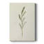 Olive Olive II - Cavas enveloppés de galerie