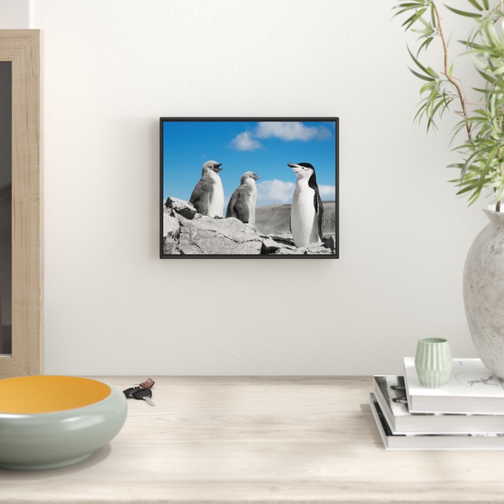 Gerahmtes Wandbild süße Pinguine