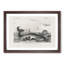 Hunting a Bowhead Whale by Charles dOrbigny - Framed Print-55578871-55578866