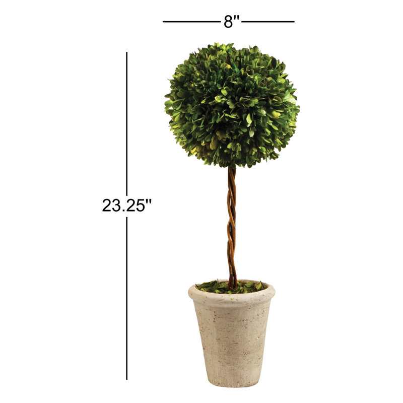 Preserved Greens 23.25" Single Ball Topiary, 23.25" H x 8" W x 8" D