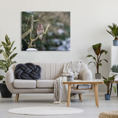 «Sleepy Owl» perché recouvert de neige, paysage par James Dobson - impression sur toile tendue