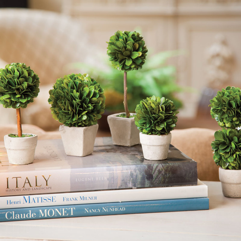 Fread 7'' Boxwood Topiary in Ceramic Pot