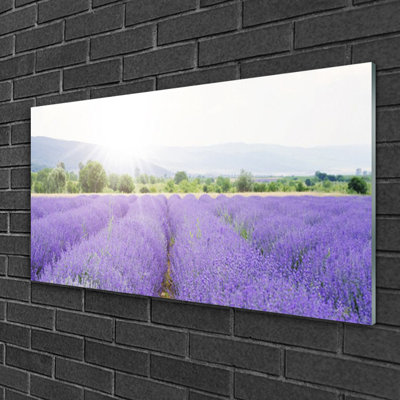 Glass Print Wall Art 100X50cm Image Printed On Glass Decorative Wall Picture Behind Toughened / Tempered Safety Real Glass For Kitchen & Living Room Theme: Meadow Flowers Nature