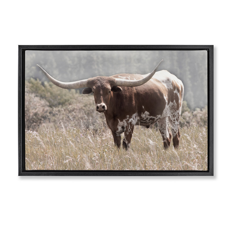 Cadre flottant Texas Longhorn, conception par Carol Robinson, H 21 po x l 31 po, Cadre flottant noir de jais