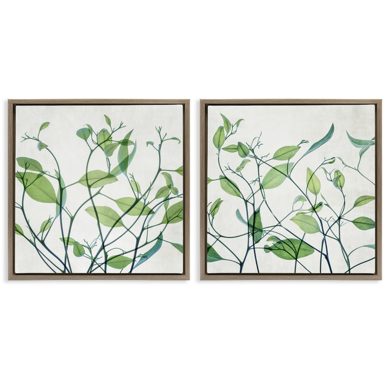 «Green Botanical Leaves Xray», ensemble de 2 toiles flottantes encadrées par Victoria Barnes, Cadre flottant orme Montalcino