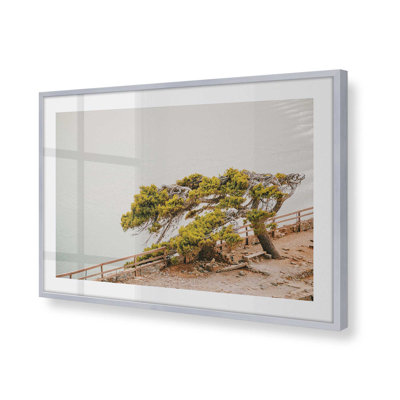 Motif de beauté balayée par le vent