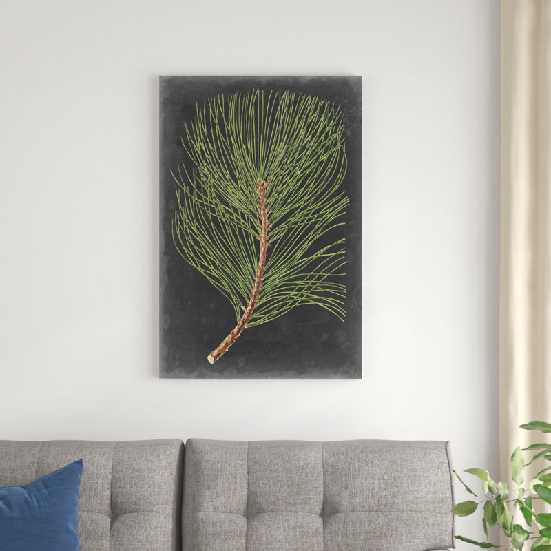«Dramatic Pine III» par Vision Studio, reproduction d'art sur toile tendue, H 36 po x l 24 po, Non, Toile tendue