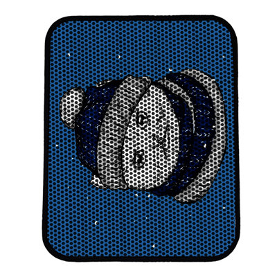 Premium Cat Litter Mat, 18 x 24 inches | 50% PVC / 50% Polyester, Machine Washable & Vacuum Friendly | Durable, Easy-Clean Design for Pet Owners | Protect Your Floors from Litter Messes