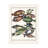 Bolog Pictufy Exotic Fish By J V Schley Canvas Art-103094784