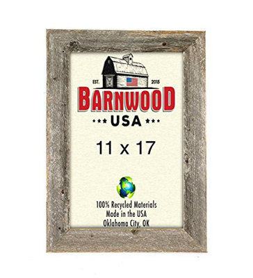 Fontaine Weathered Gray Wood Matte Picture Frame