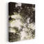 «Dreamy Forest», impression d'art mural abstrait-129774508