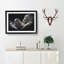 Gorilla Mother & Child - Picture Frame Graphic Art Print-56713314-56713318