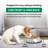 Pet Bowl-13945731