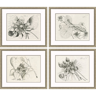 Malaberica Etchings Painting
